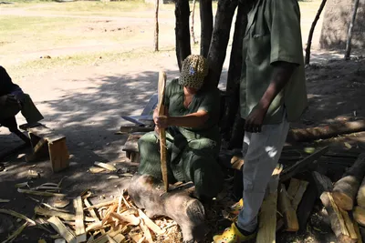 DSC_2930 (Large).JPG